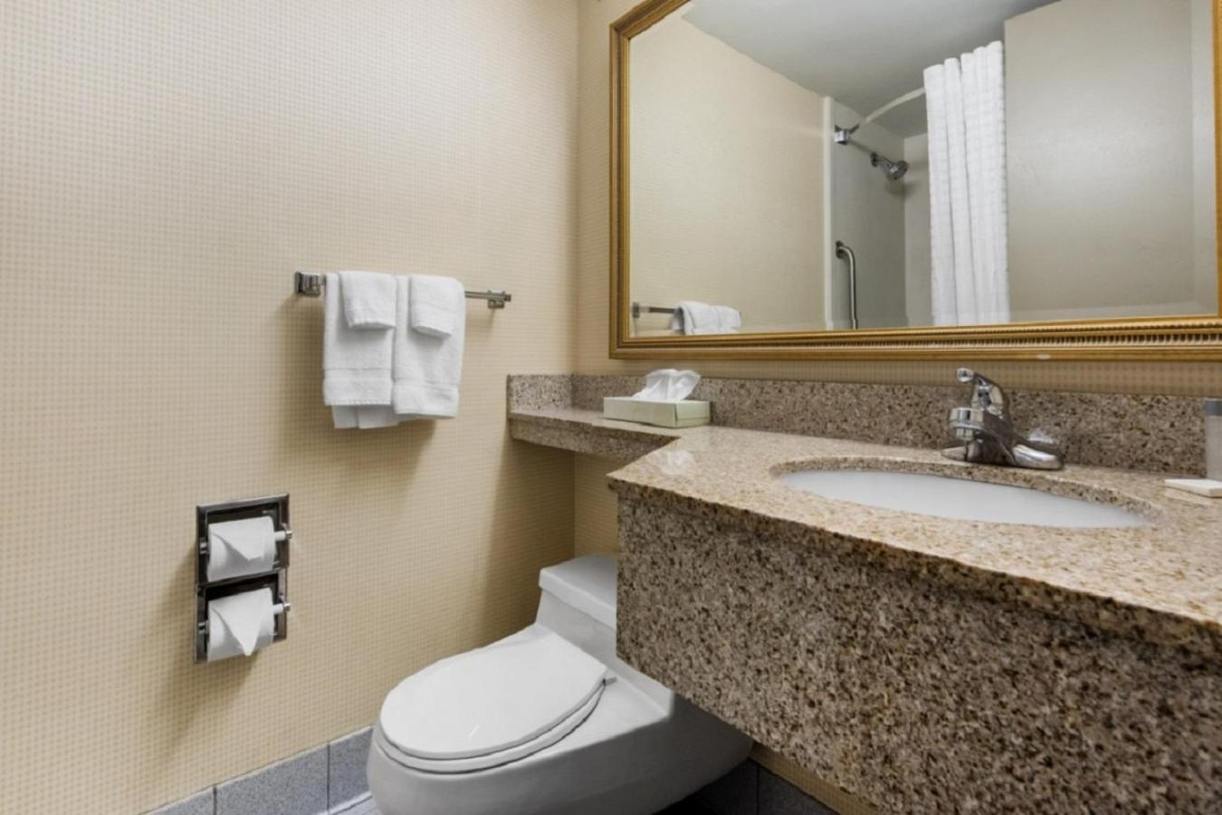Quality Inn & Suites Charleston - Civic Center Dış mekan fotoğraf